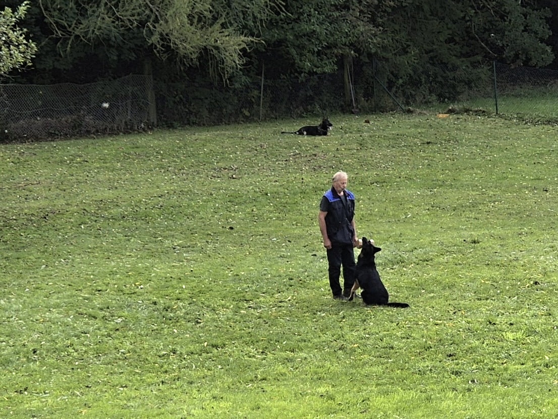 f90743ef-5fcc-4f4b-99fc-c06d862d7fd6