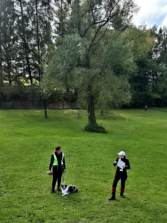 0e630b64-1a42-4ab8-938c-ab7c1923849e