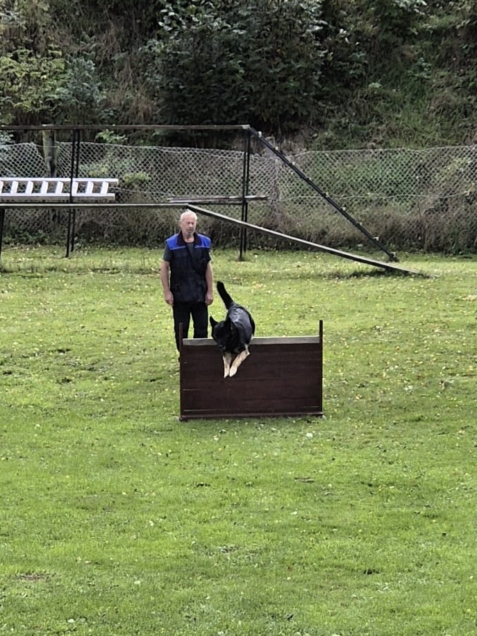 9cc2432d-7c0f-4725-8056-6ed531cb96f0