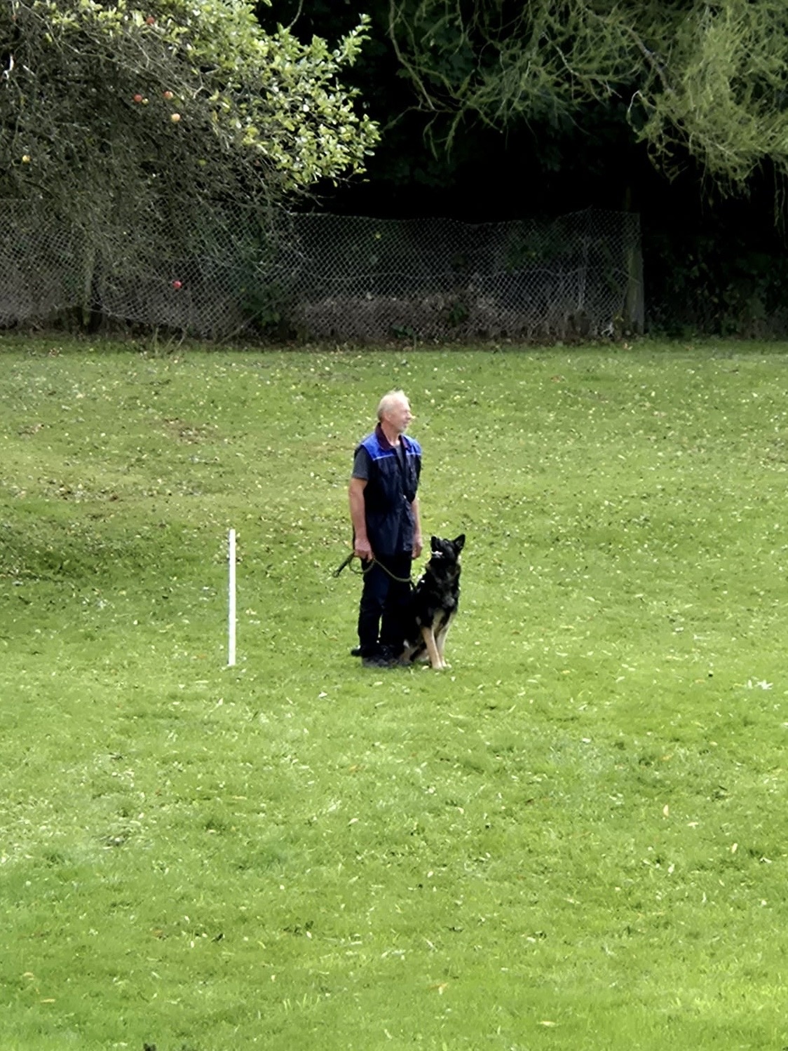 41cbbd75-ccc8-4149-baff-3879110dc2ca