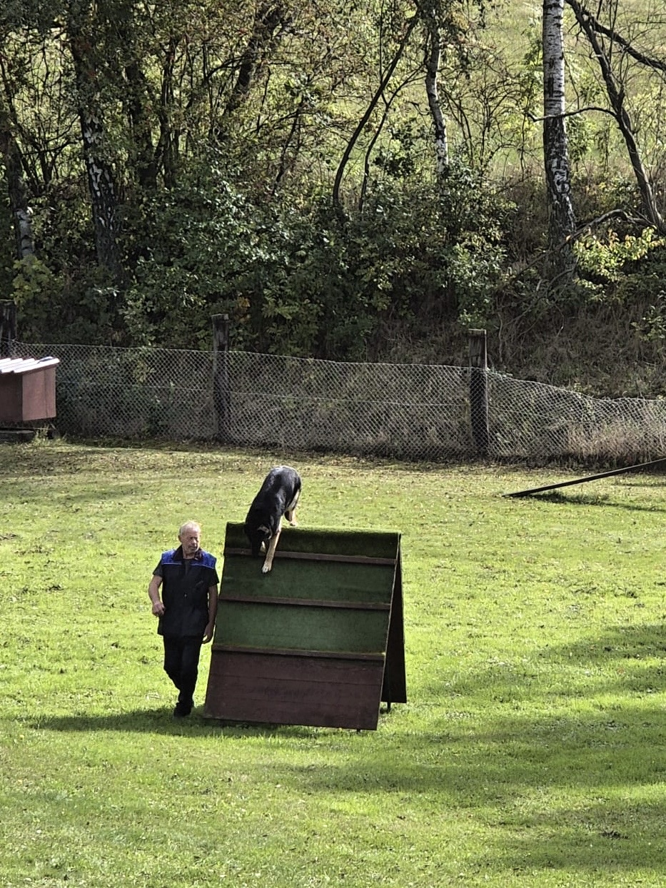 5570cd79-bbd7-4300-aa0a-5e09c9a20c03