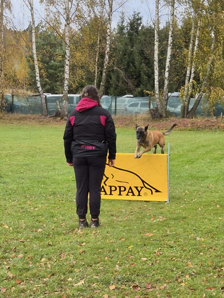 2fd397f1-fbd3-4ead-a501-b5617fcf86dc