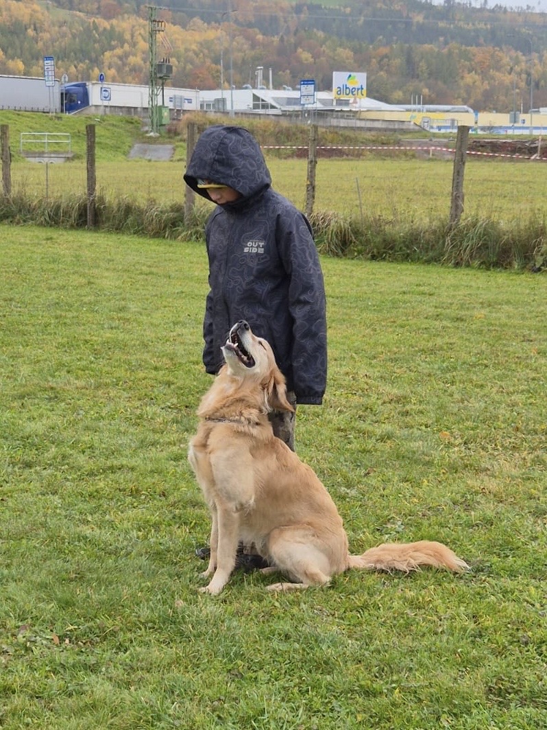 a69a36e7-0dca-4cb7-bc2a-5757a21f0484