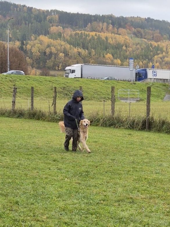 09cb744e-a3ad-4f0b-b46d-6da73c6e77aa