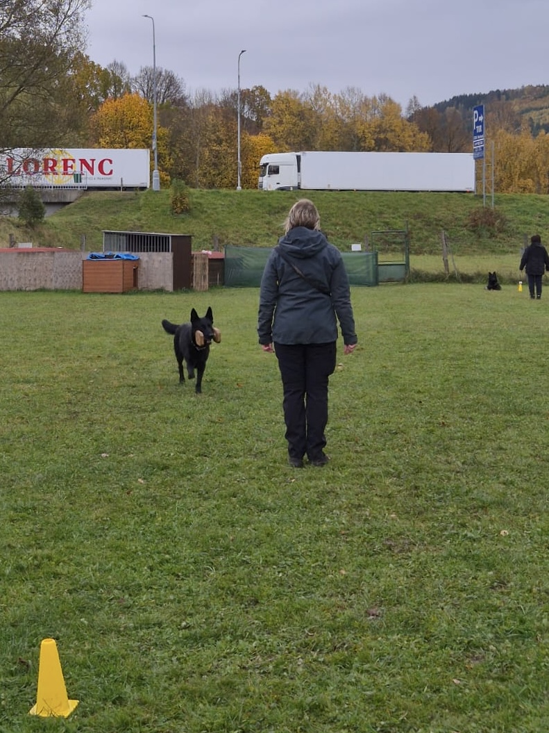 c5a2591f-b03a-4faa-9626-fcc14c820b06