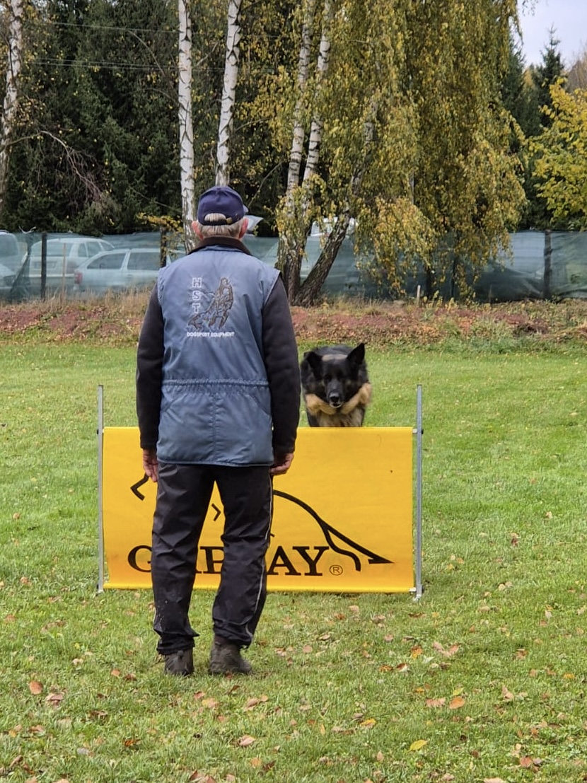 f4c0055f-4be3-49a8-8e0d-9fe85d51e7f9