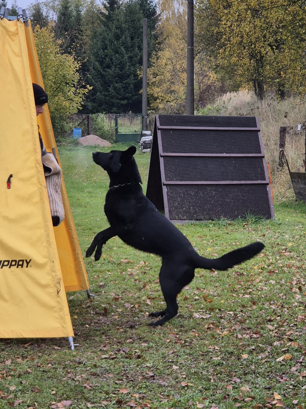 03923ebd-f13a-4ef3-88dd-e6603f5a14c4