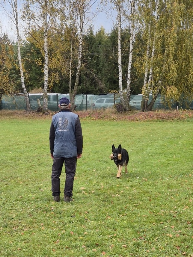 742dd2a3-5888-4e01-acbf-faffea709365